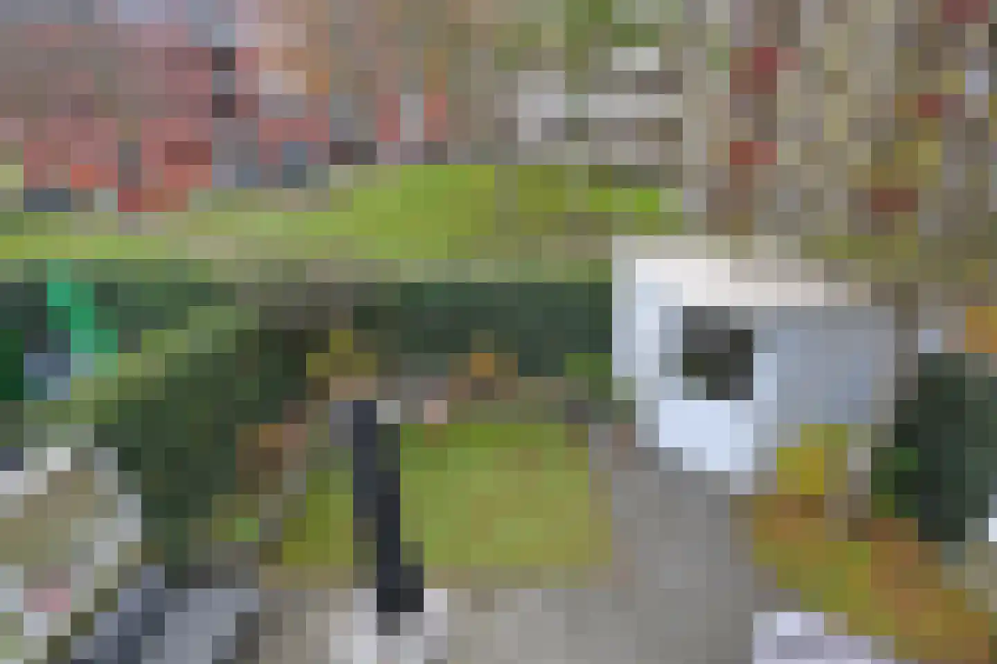 Cottierstraat 9 Naaldwijk thumbnail 32
