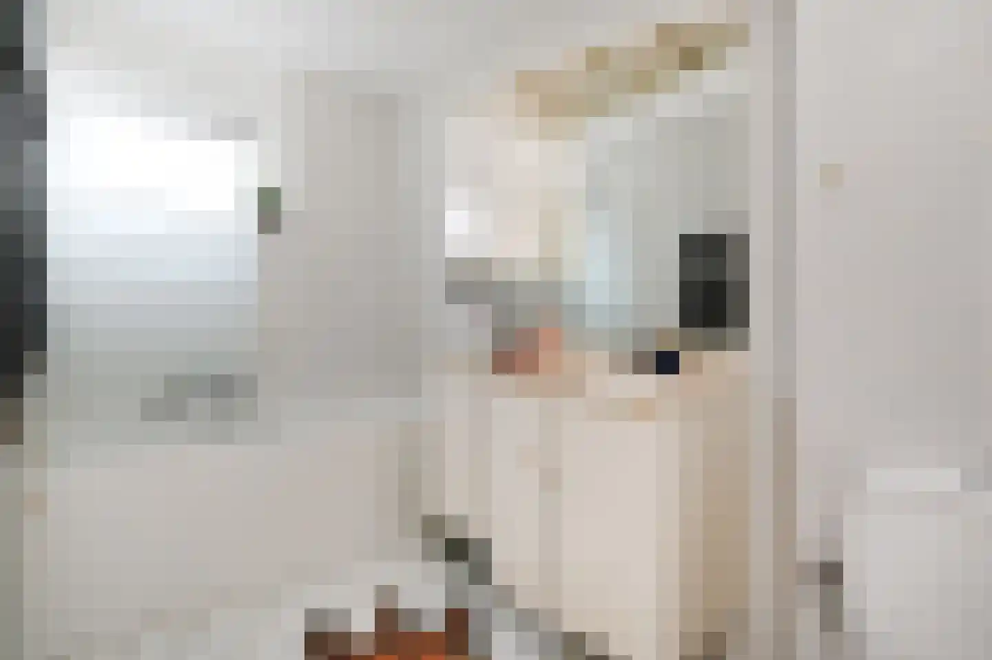 Cottierstraat 9 Naaldwijk thumbnail 37