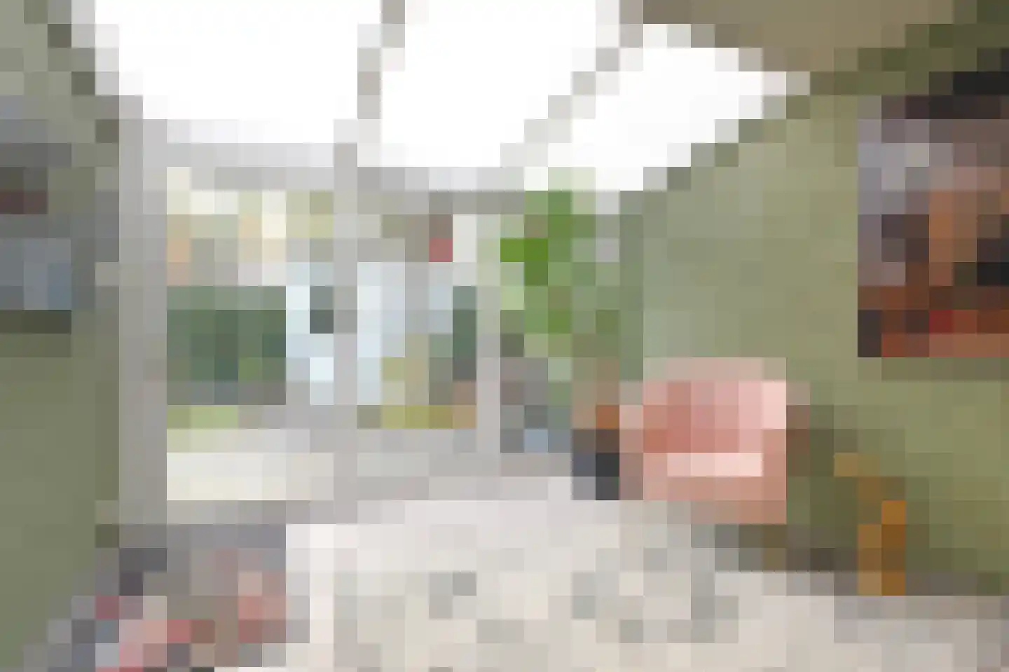Cottierstraat 9 Naaldwijk thumbnail 4