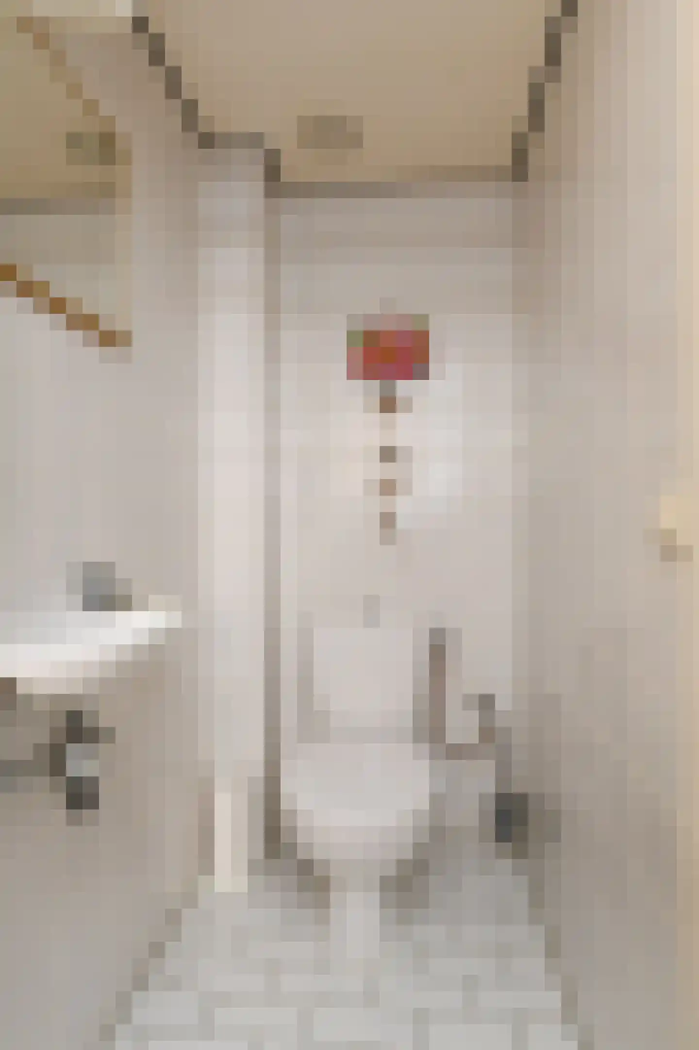 Cottierstraat 9 Naaldwijk thumbnail 43