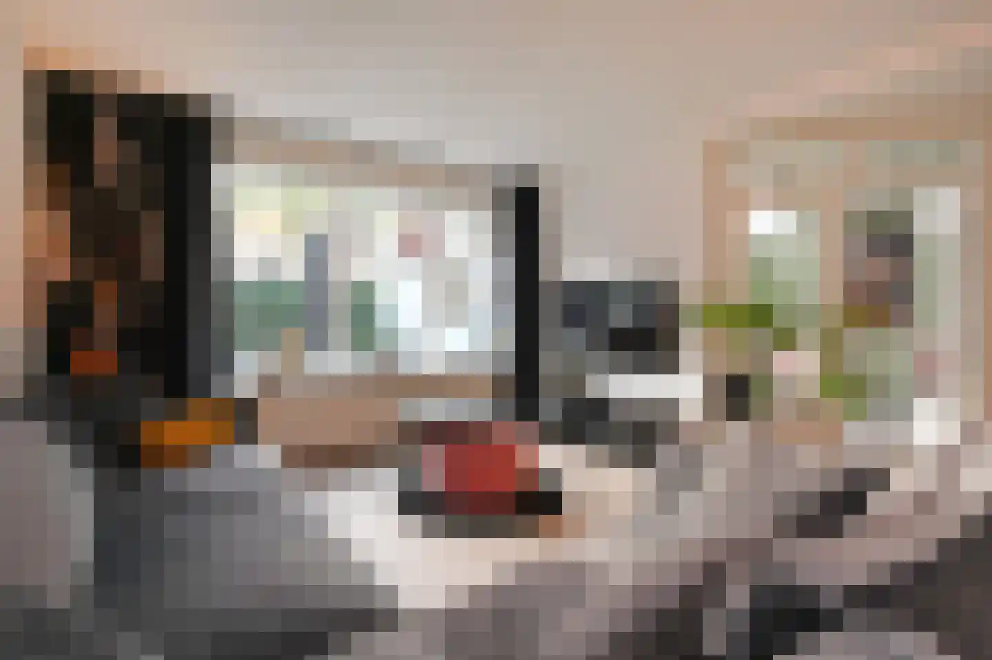 Cottierstraat 9 Naaldwijk thumbnail 5