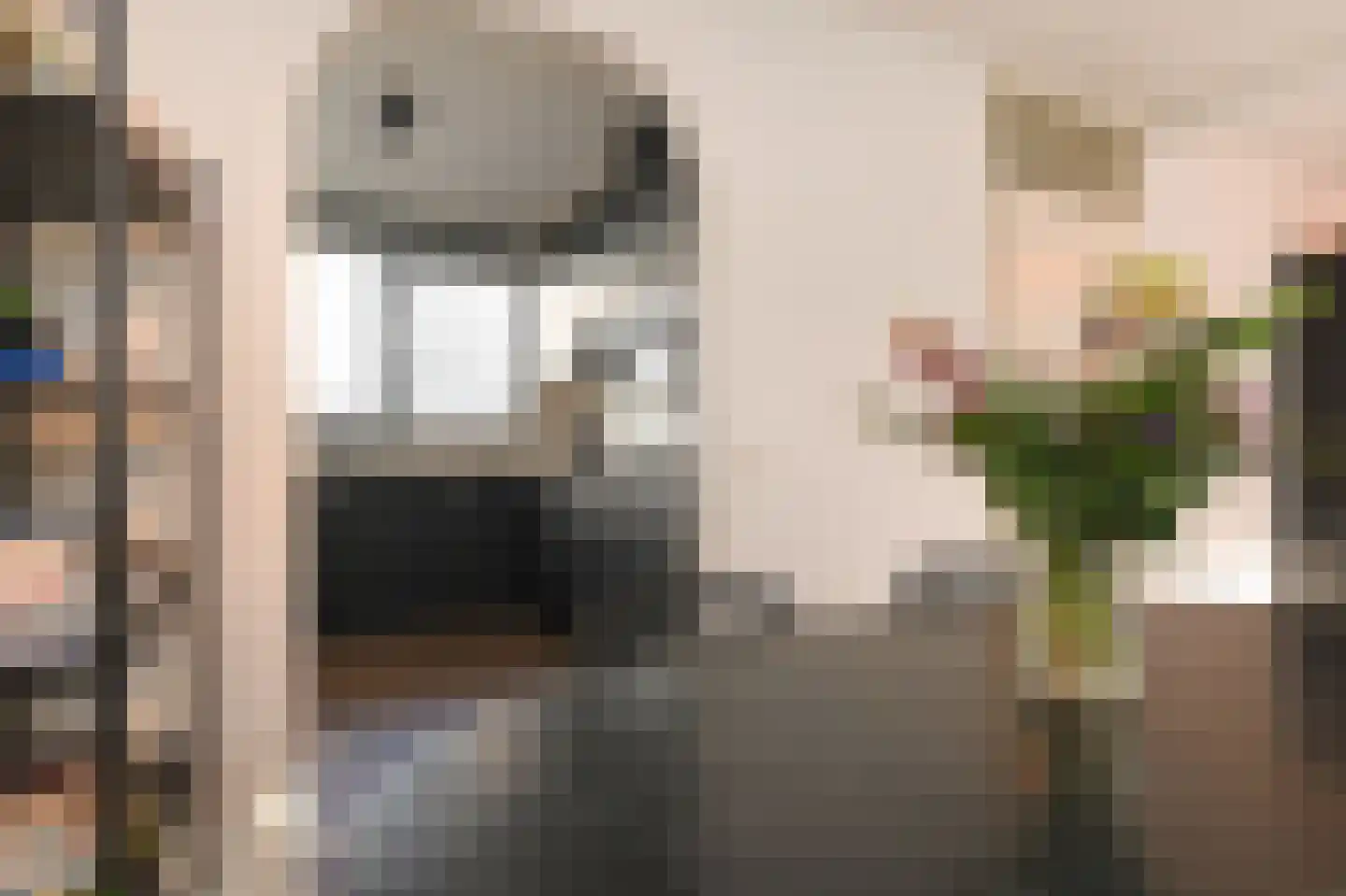 Cottierstraat 9 Naaldwijk thumbnail 6
