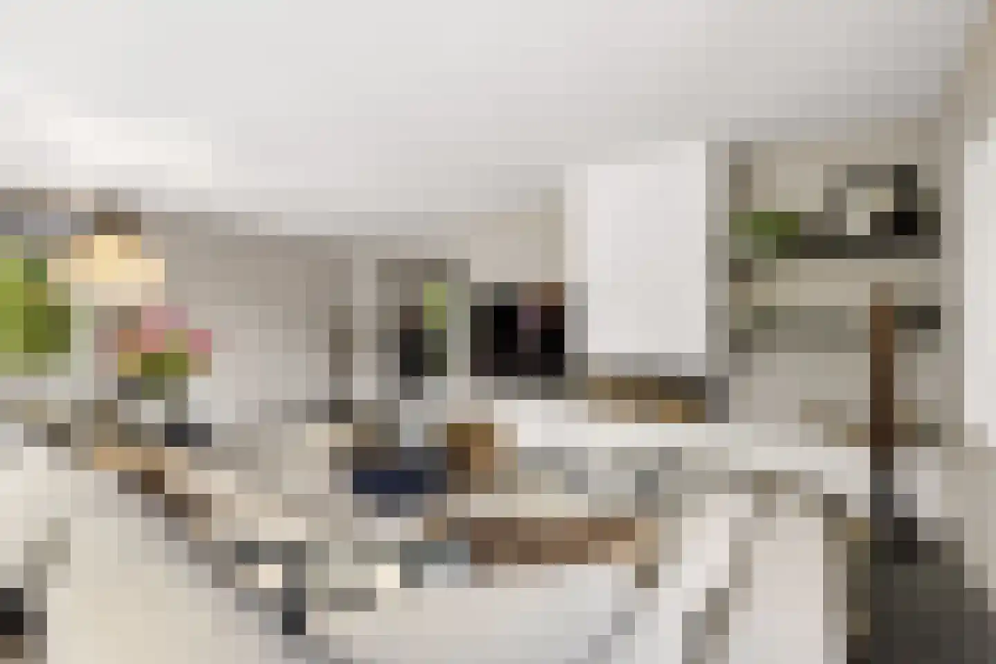 Coudenborch 7 Berlicum thumbnail 13