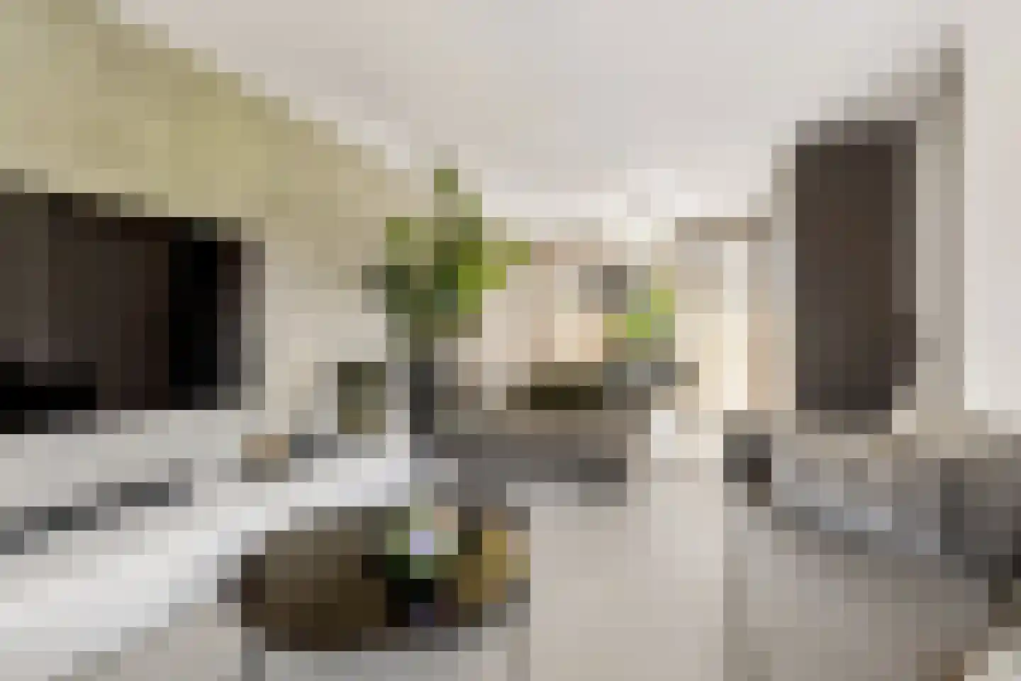 Coudenborch 7 Berlicum thumbnail 17