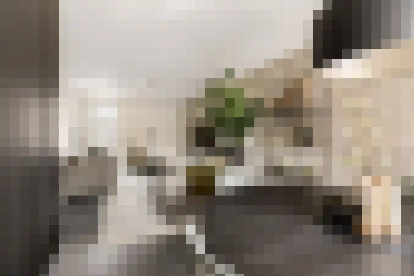 Coudenborch 7 Berlicum thumbnail 18