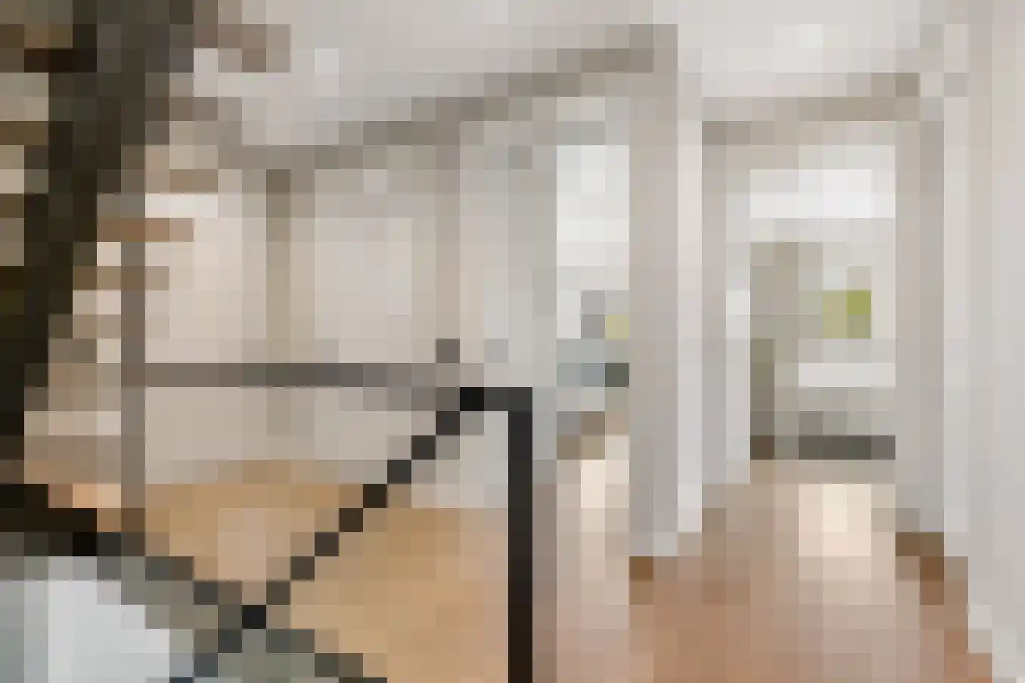Coudenborch 7 Berlicum thumbnail 19