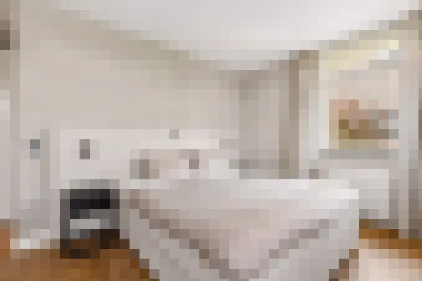 Coudenborch 7 Berlicum thumbnail 20