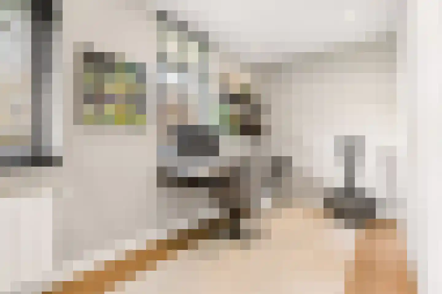 Coudenborch 7 Berlicum thumbnail 22