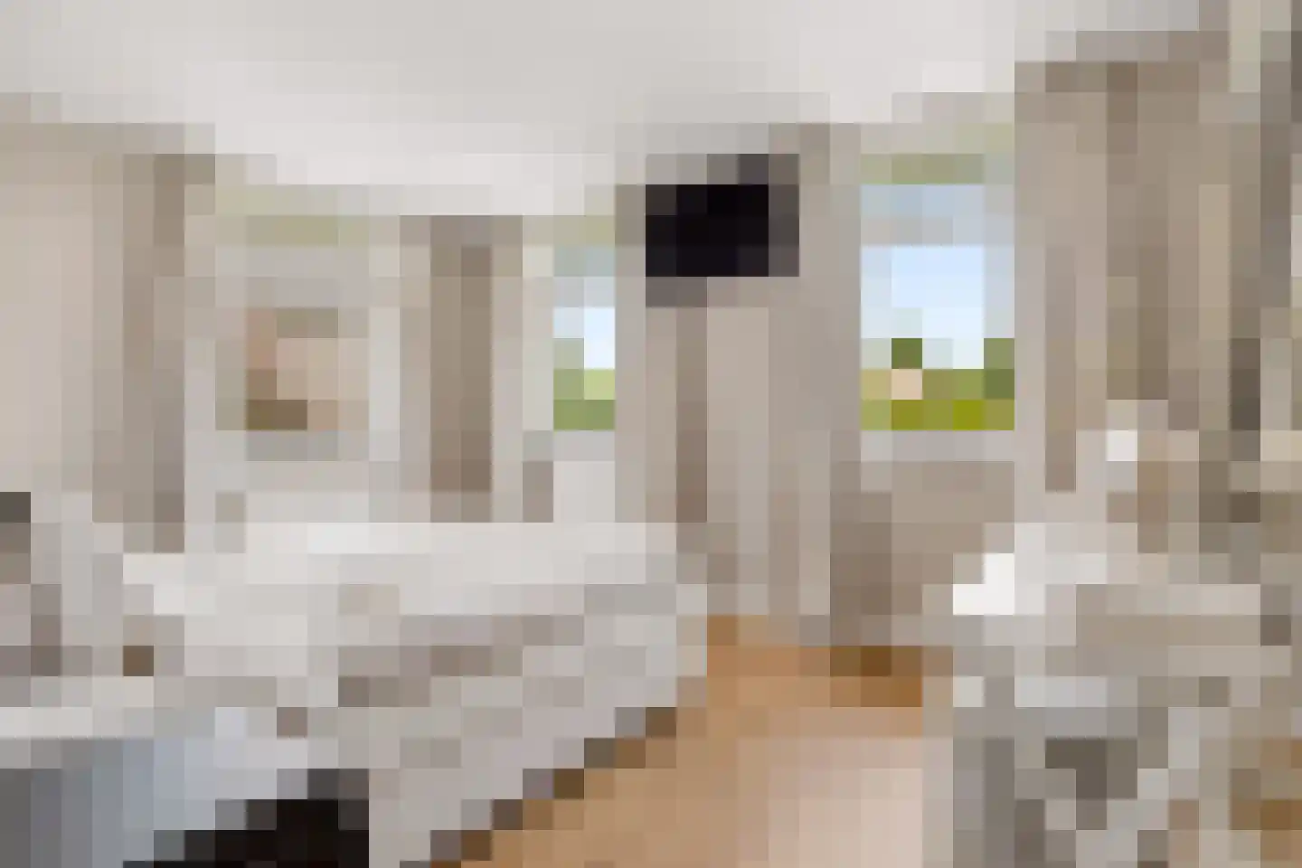 Coudenborch 7 Berlicum thumbnail 24