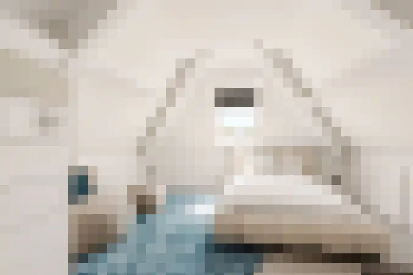 Coudenborch 7 Berlicum thumbnail 31