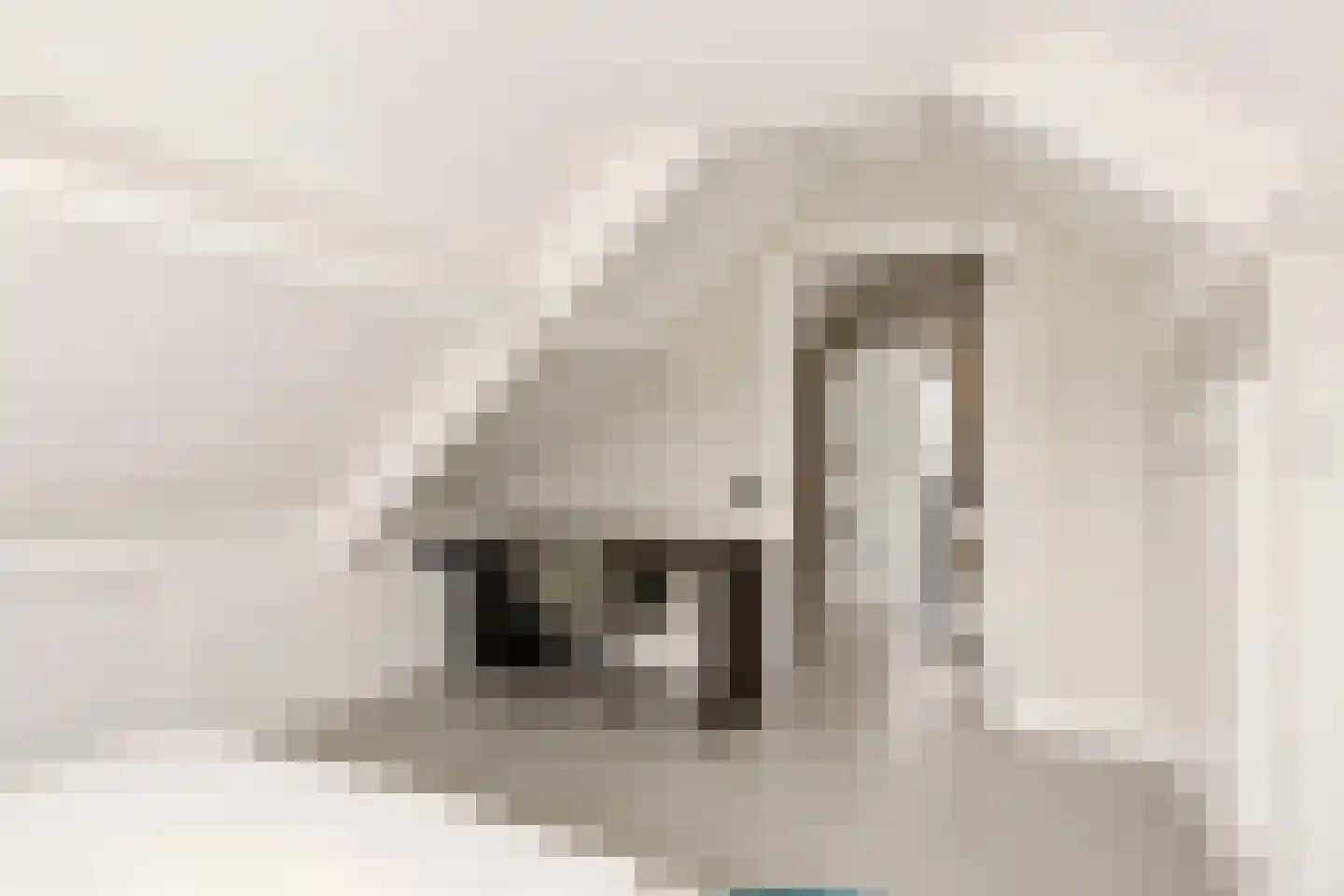 Coudenborch 7 Berlicum thumbnail 32