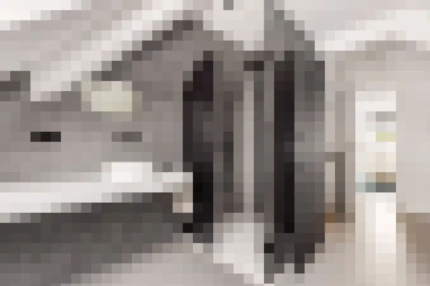 Coudenborch 7 Berlicum thumbnail 34
