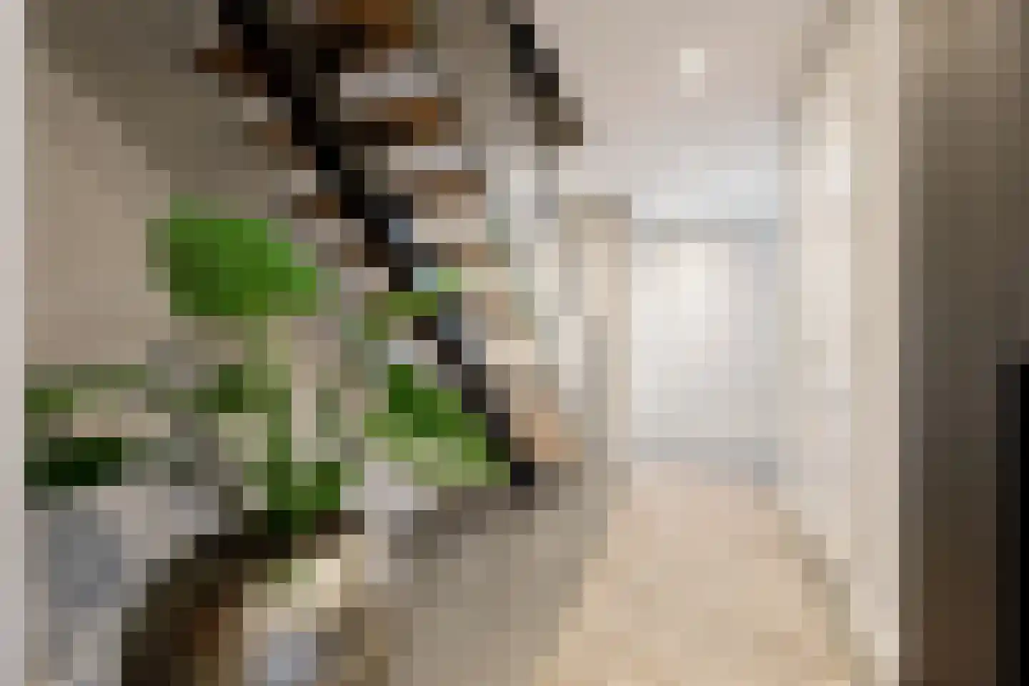 Coudenborch 7 Berlicum thumbnail 4