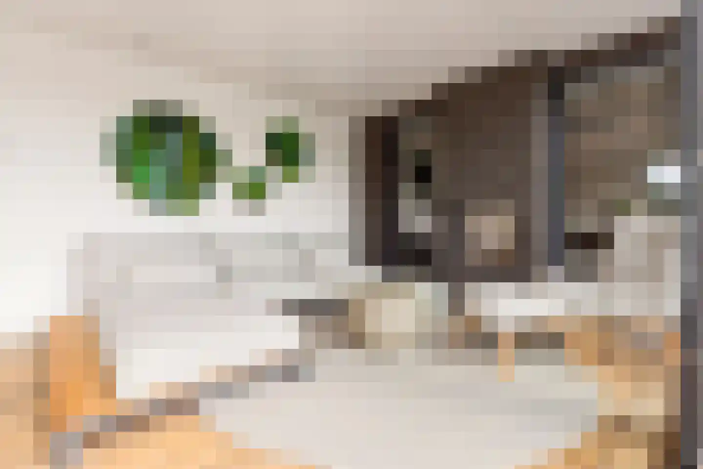 Coudenborch 7 Berlicum thumbnail 42