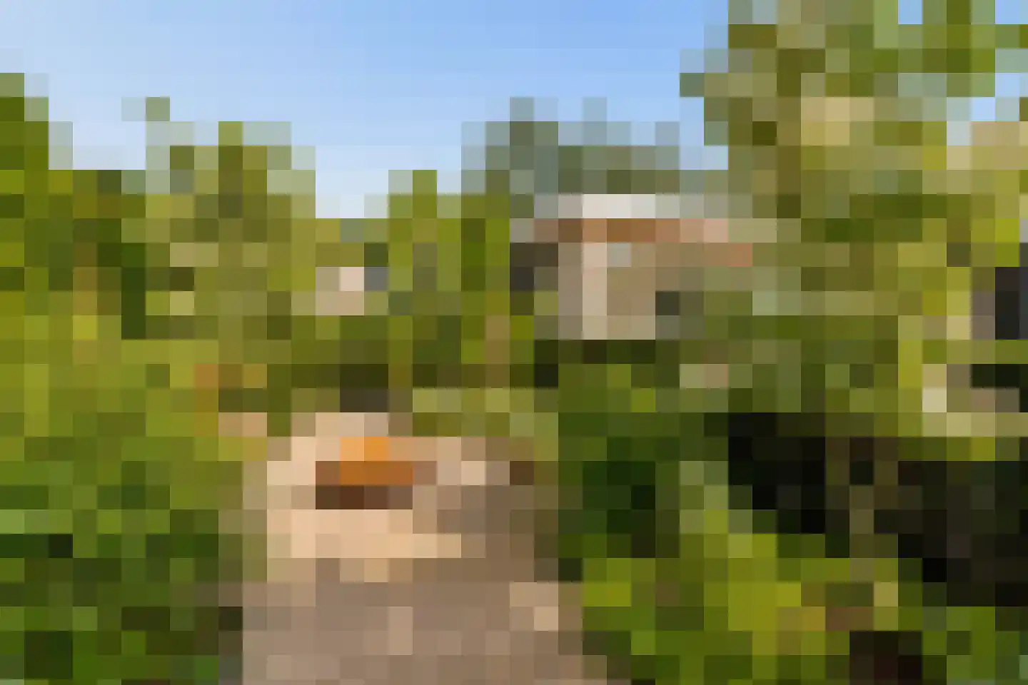 Coudenborch 7 Berlicum thumbnail 49