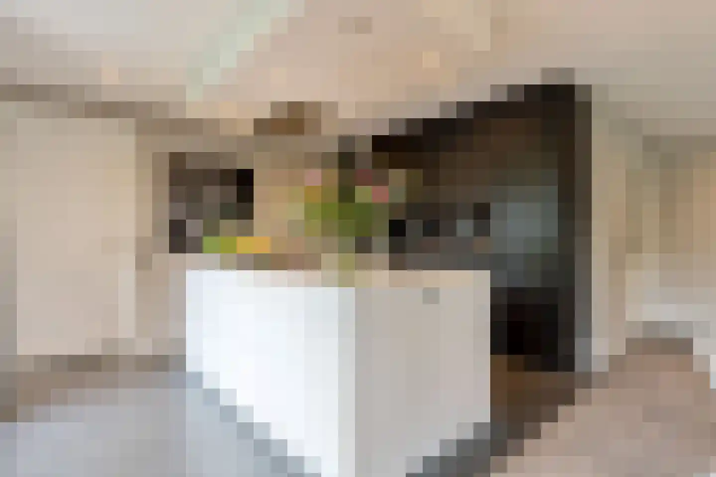 Coudenborch 7 Berlicum thumbnail 5