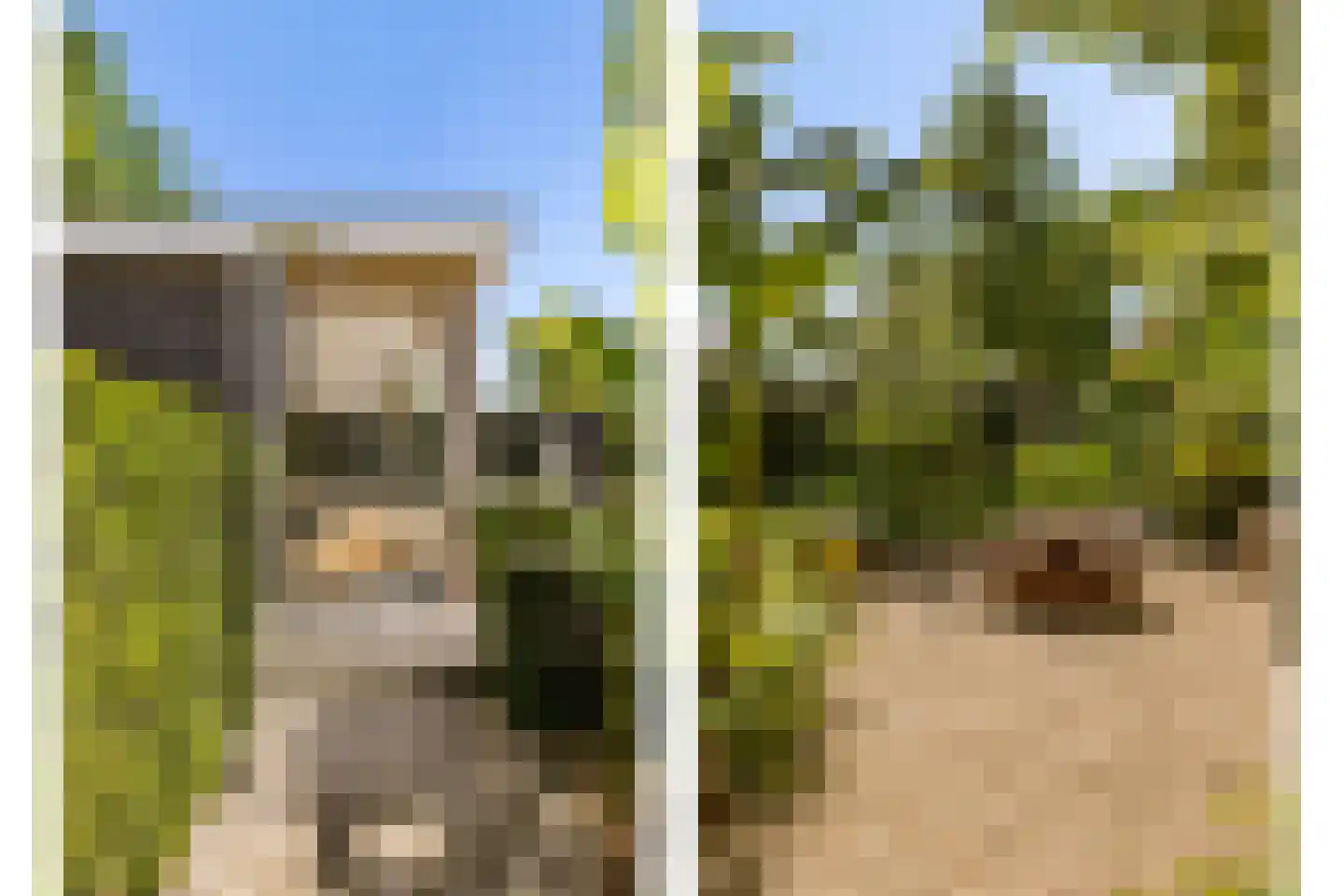 Coudenborch 7 Berlicum thumbnail 50