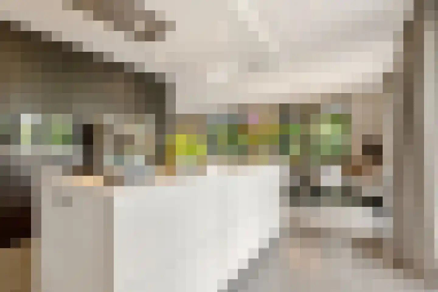 Coudenborch 7 Berlicum thumbnail 6