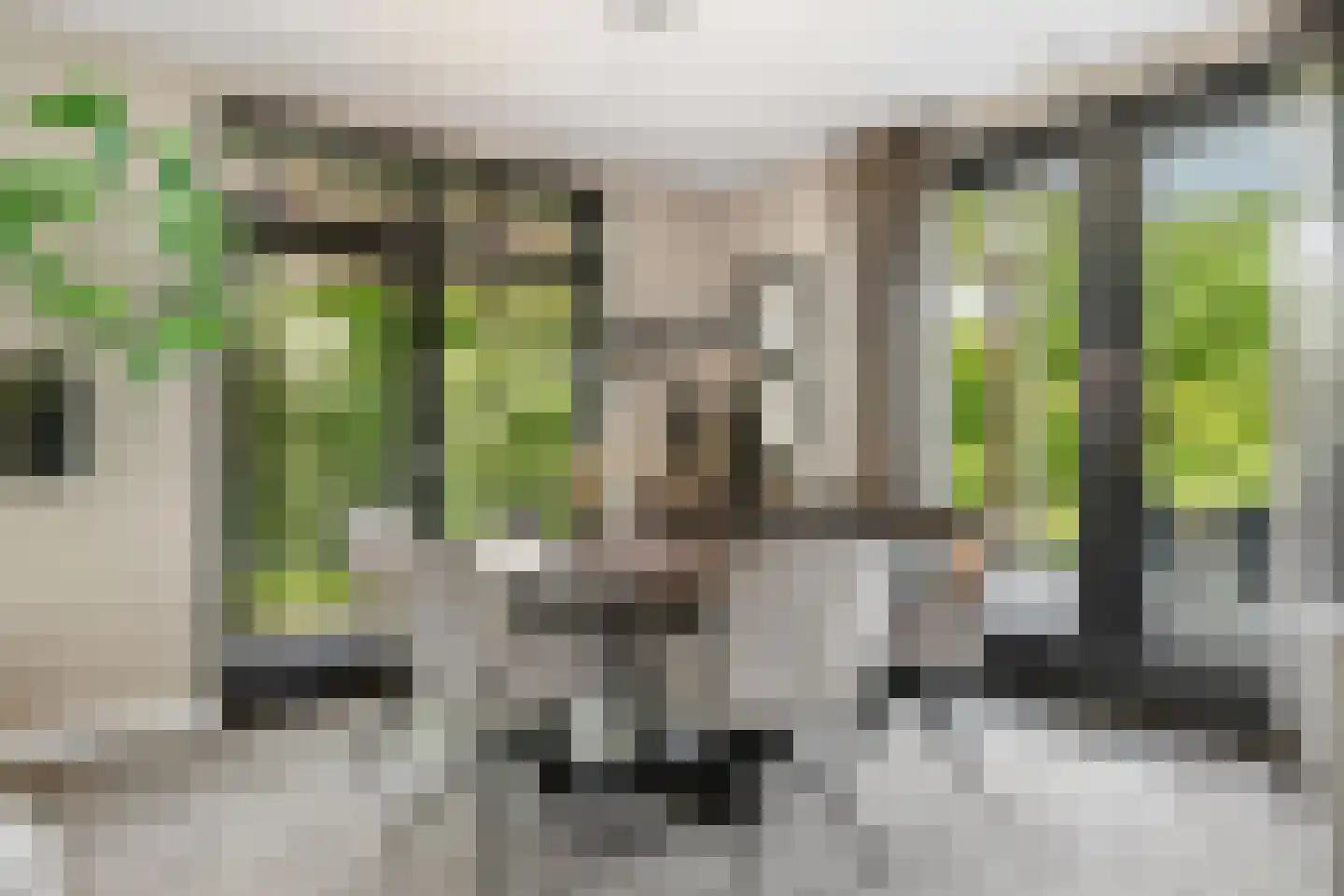 Coudenborch 7 Berlicum thumbnail 7