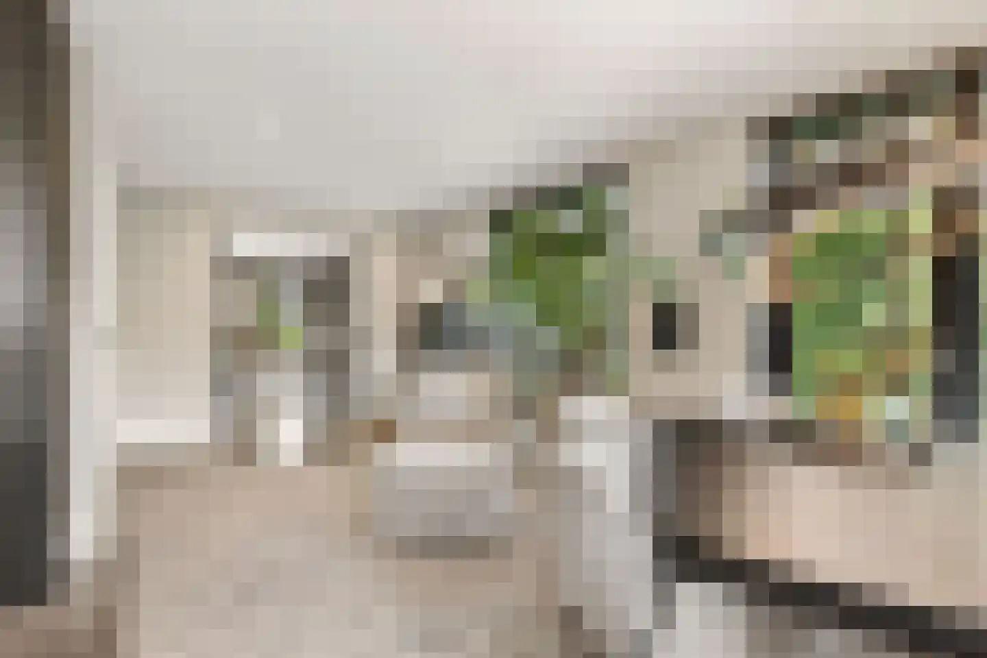 Coudenborch 7 Berlicum thumbnail 8