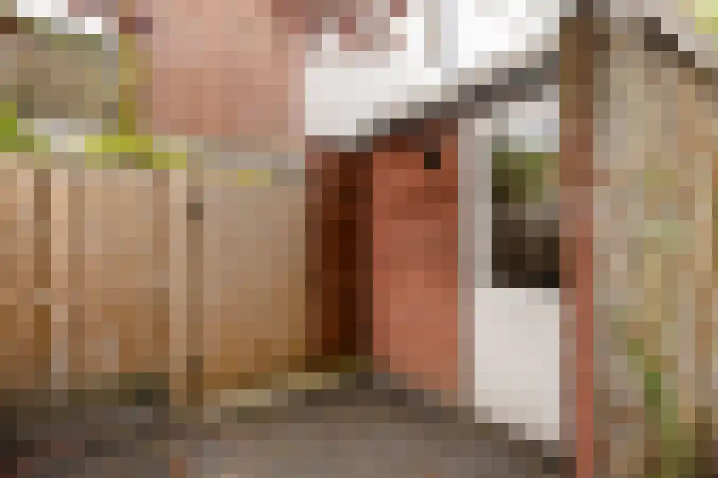 Coudenhovelaan 1 Delft thumbnail 15