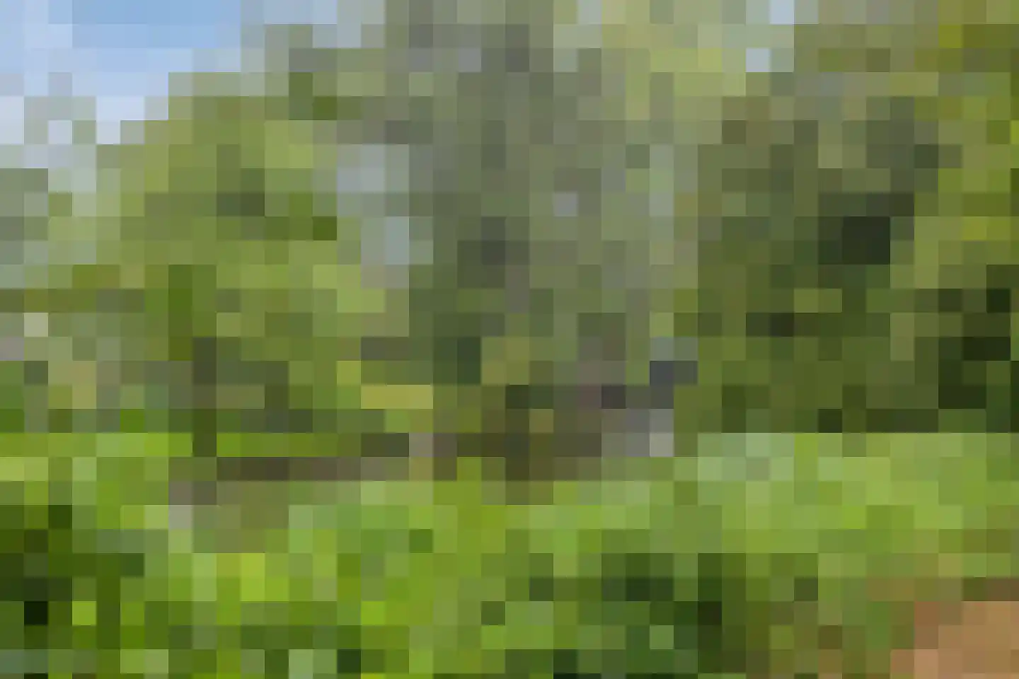 Coudenhovelaan 1 Delft thumbnail 36