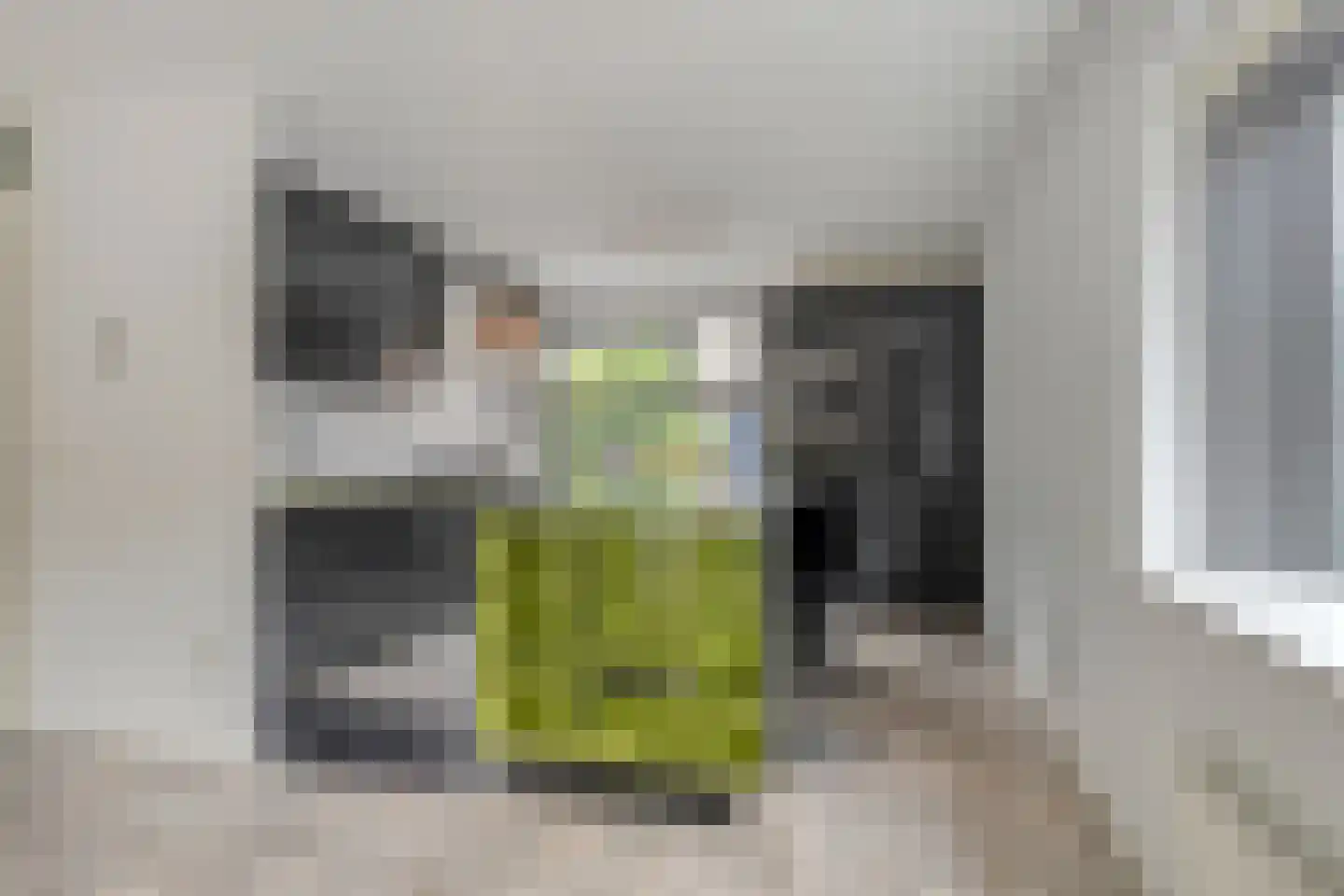 Coudenhovelaan 1 Delft thumbnail 9