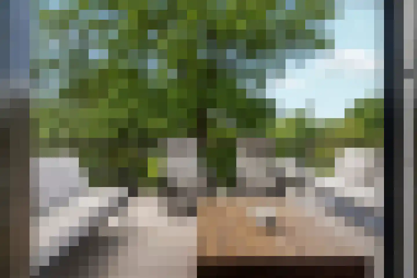Coudewater 146 Rosmalen thumbnail 15