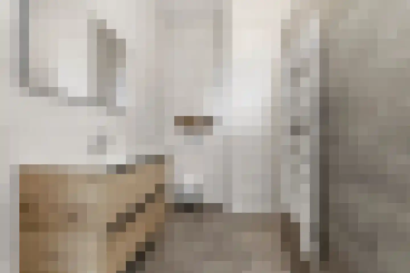 Coudewater 146 Rosmalen thumbnail 31
