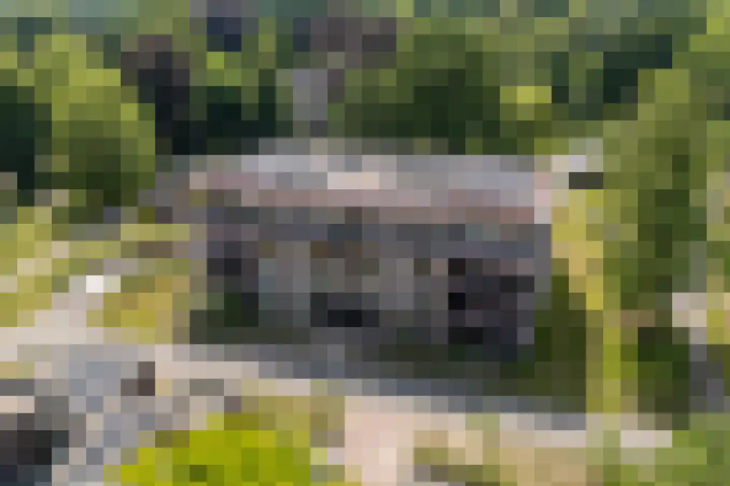Coudewater 146 Rosmalen thumbnail 40