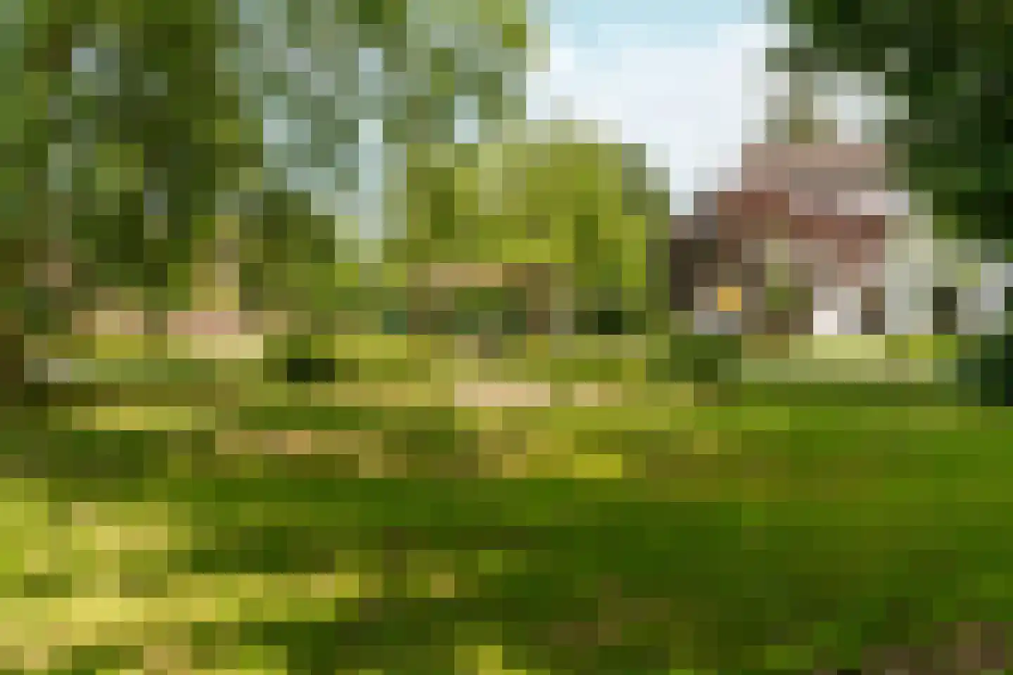 Coudewater 146 Rosmalen thumbnail 42