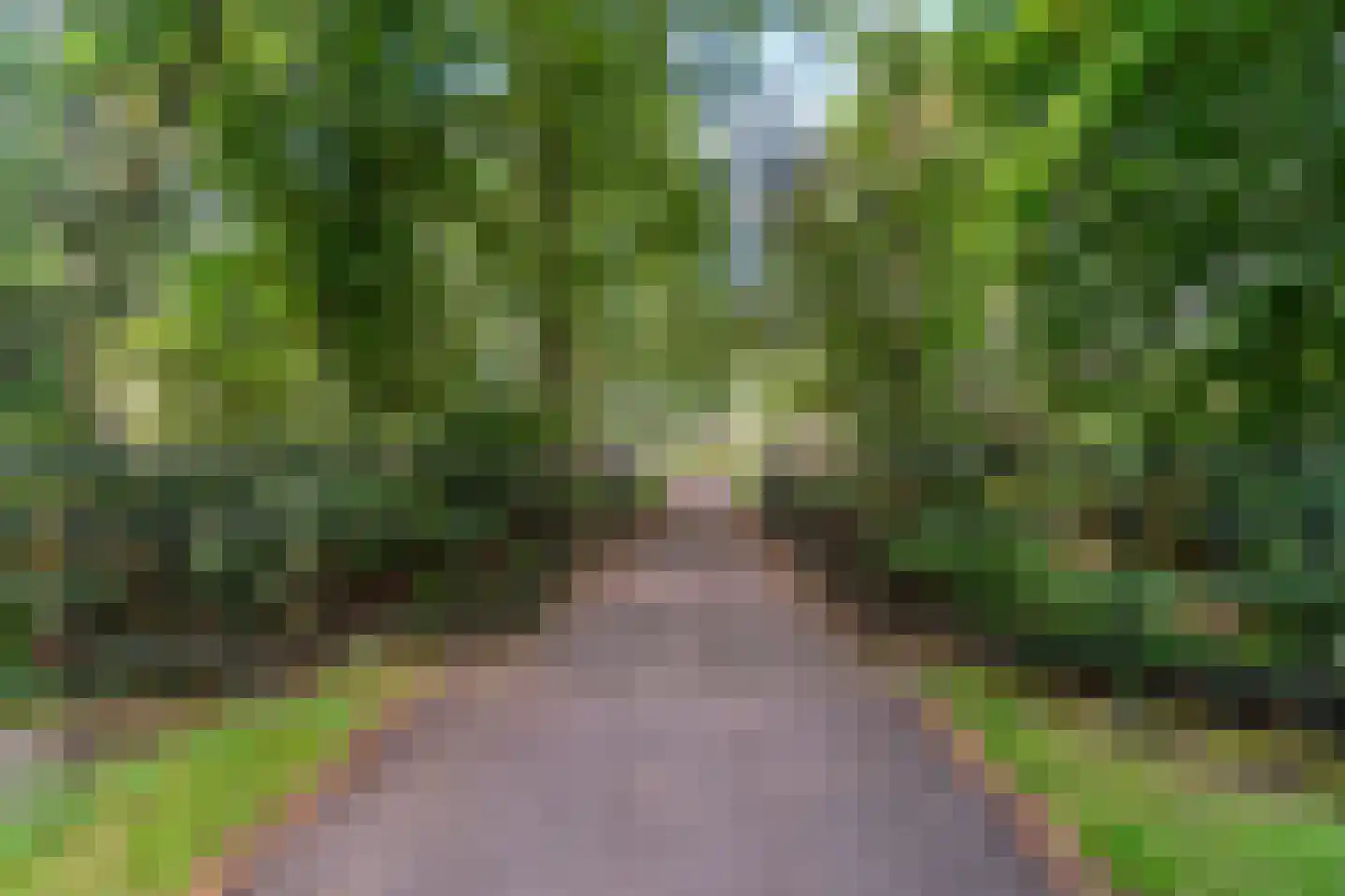 Coudewater 146 Rosmalen thumbnail 43
