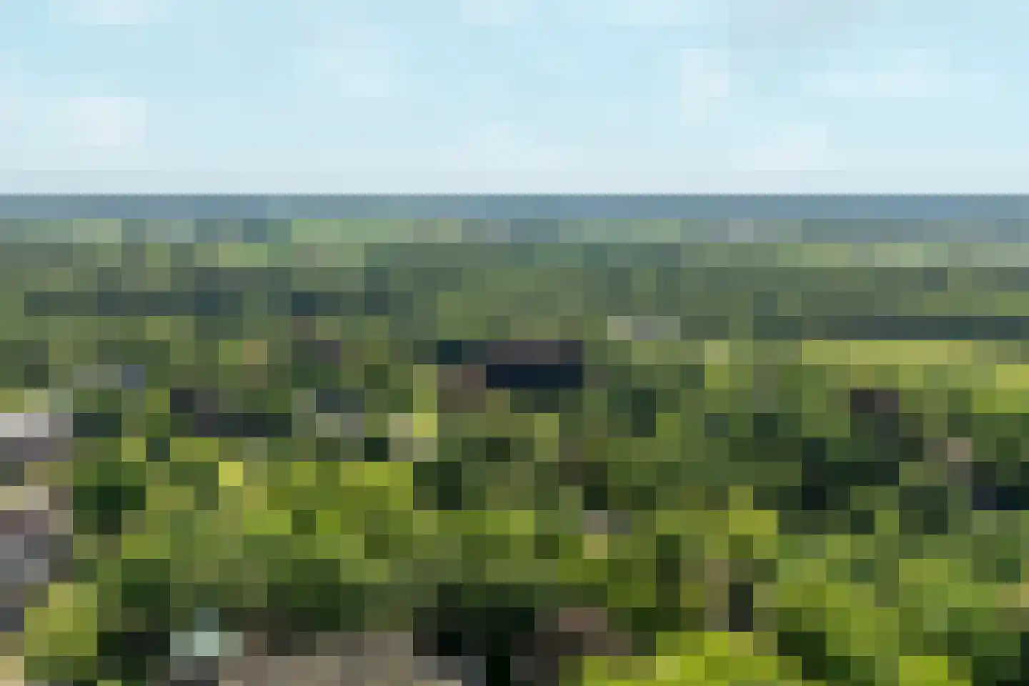 Coudewater 146 Rosmalen thumbnail 45