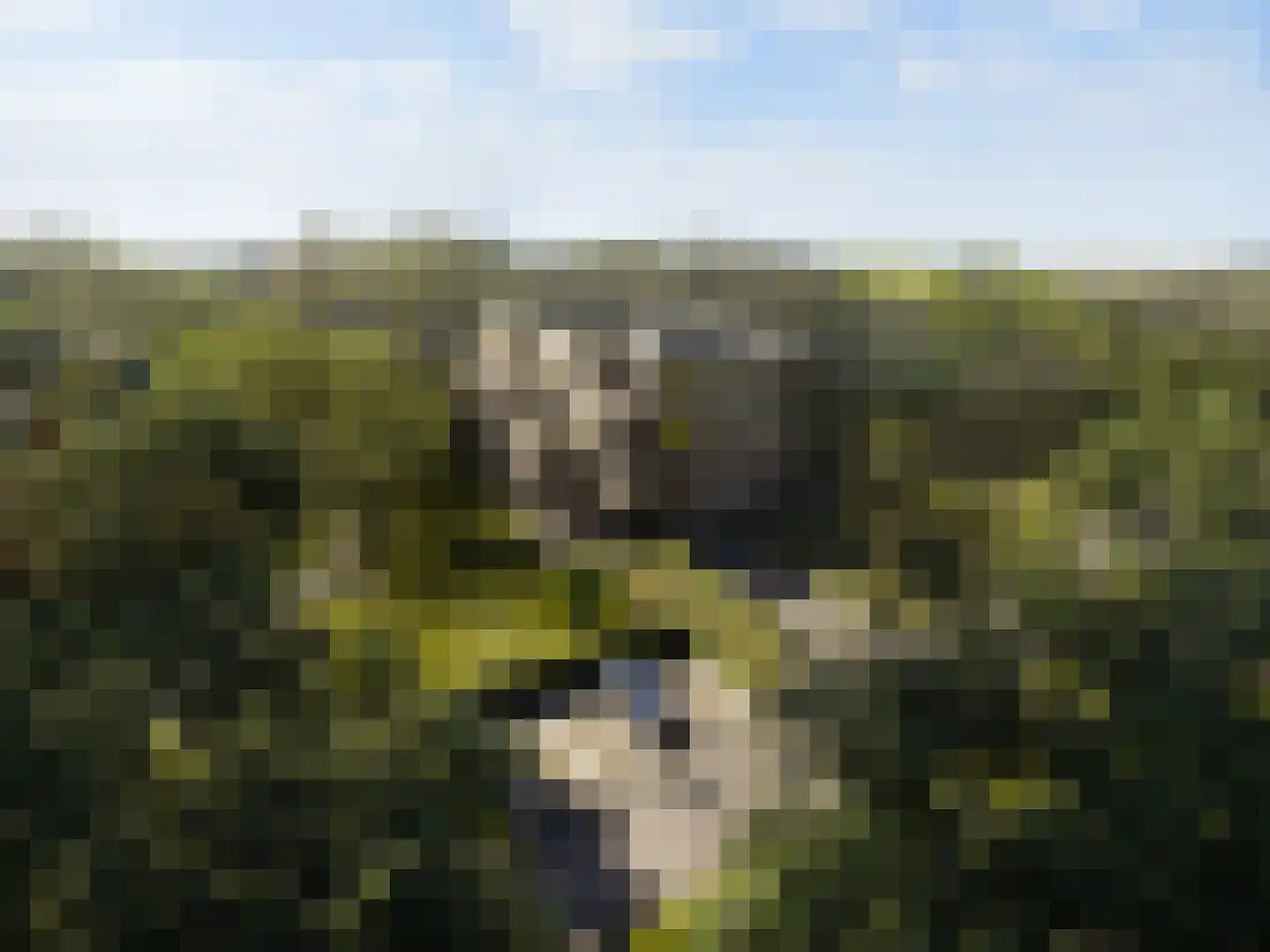Coudewater 48 Rosmalen thumbnail 4