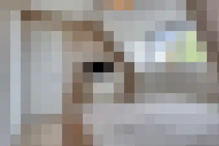 Coudorps Hofje 3 Nieuwdorp thumbnail 13