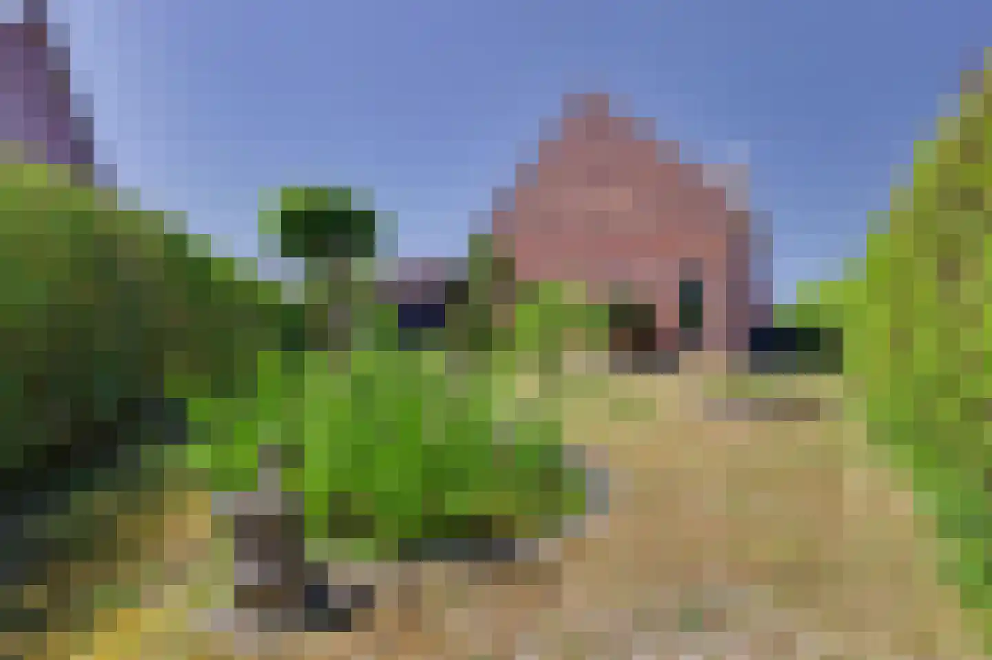 Coudorps Hofje 5 Nieuwdorp thumbnail 28