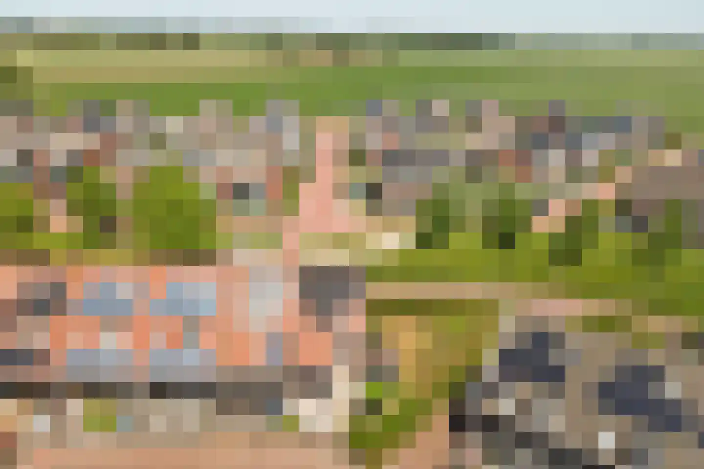 Coudorps Hofje 5 Nieuwdorp thumbnail 30