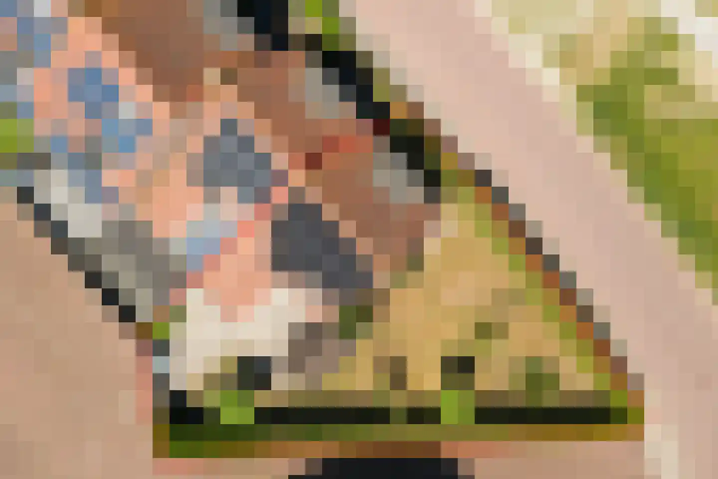 Coudorps Hofje 5 Nieuwdorp thumbnail 31