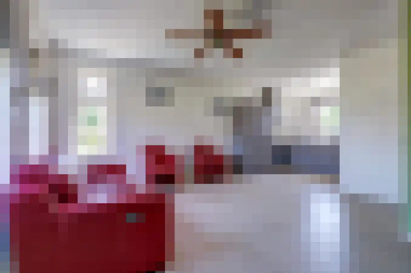 Coudorps Hofje 5 Nieuwdorp thumbnail 6