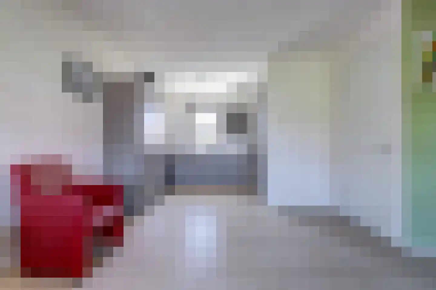 Coudorps Hofje 5 Nieuwdorp thumbnail 7