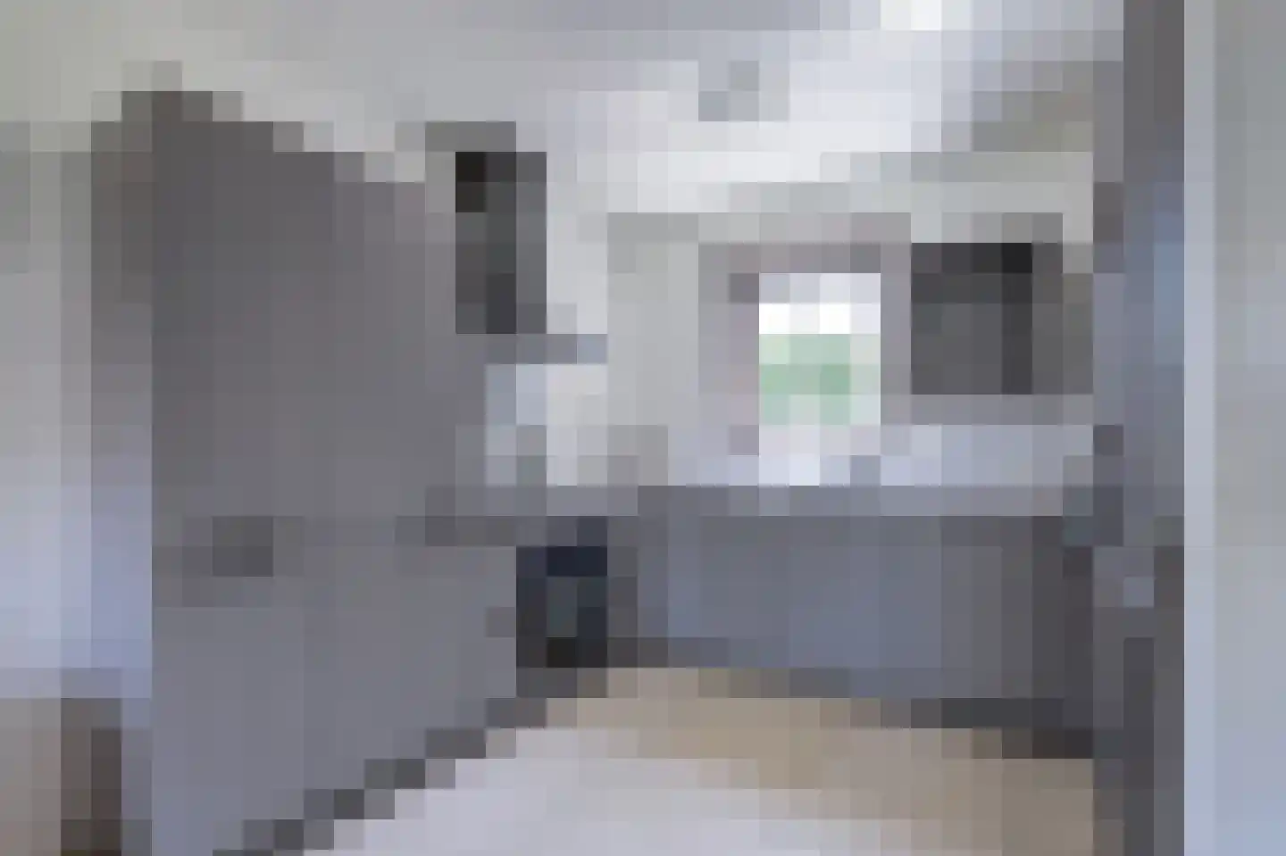 Coudorps Hofje 5 Nieuwdorp thumbnail 8