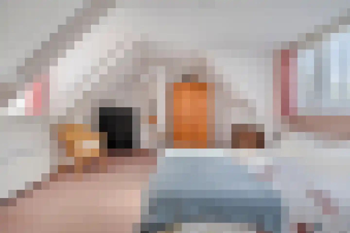 Coudorpseweg 12 Driewegen thumbnail 22