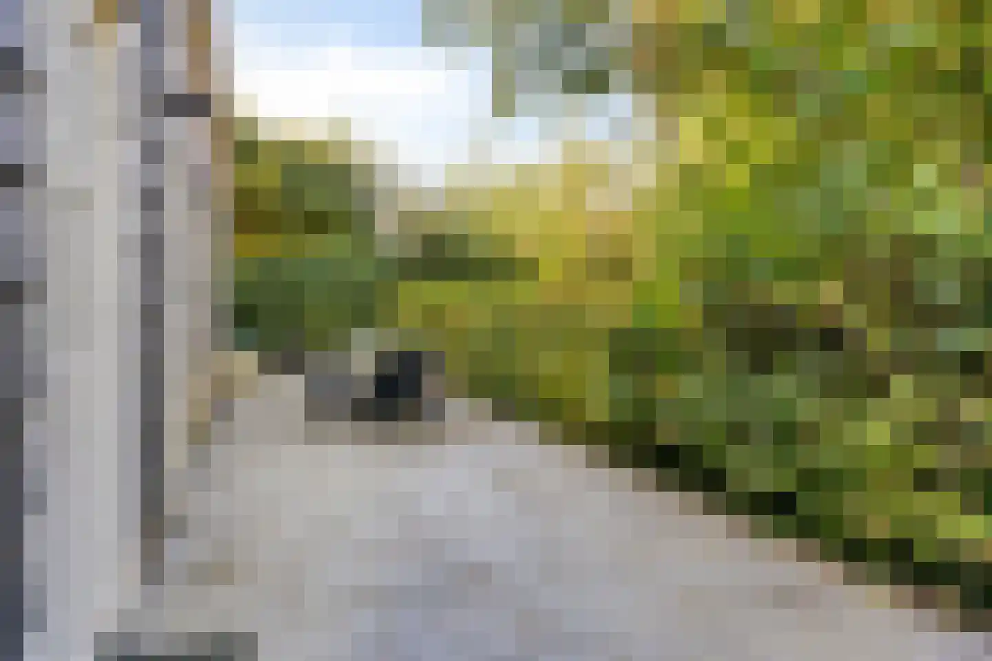 Coudorpseweg 12 Driewegen thumbnail 28