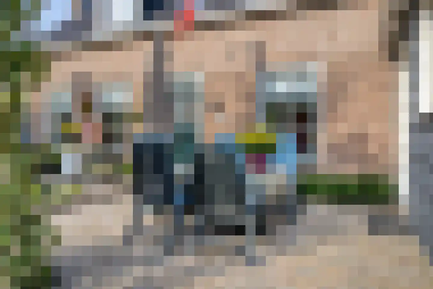 Coudorpseweg 12 Driewegen thumbnail 32