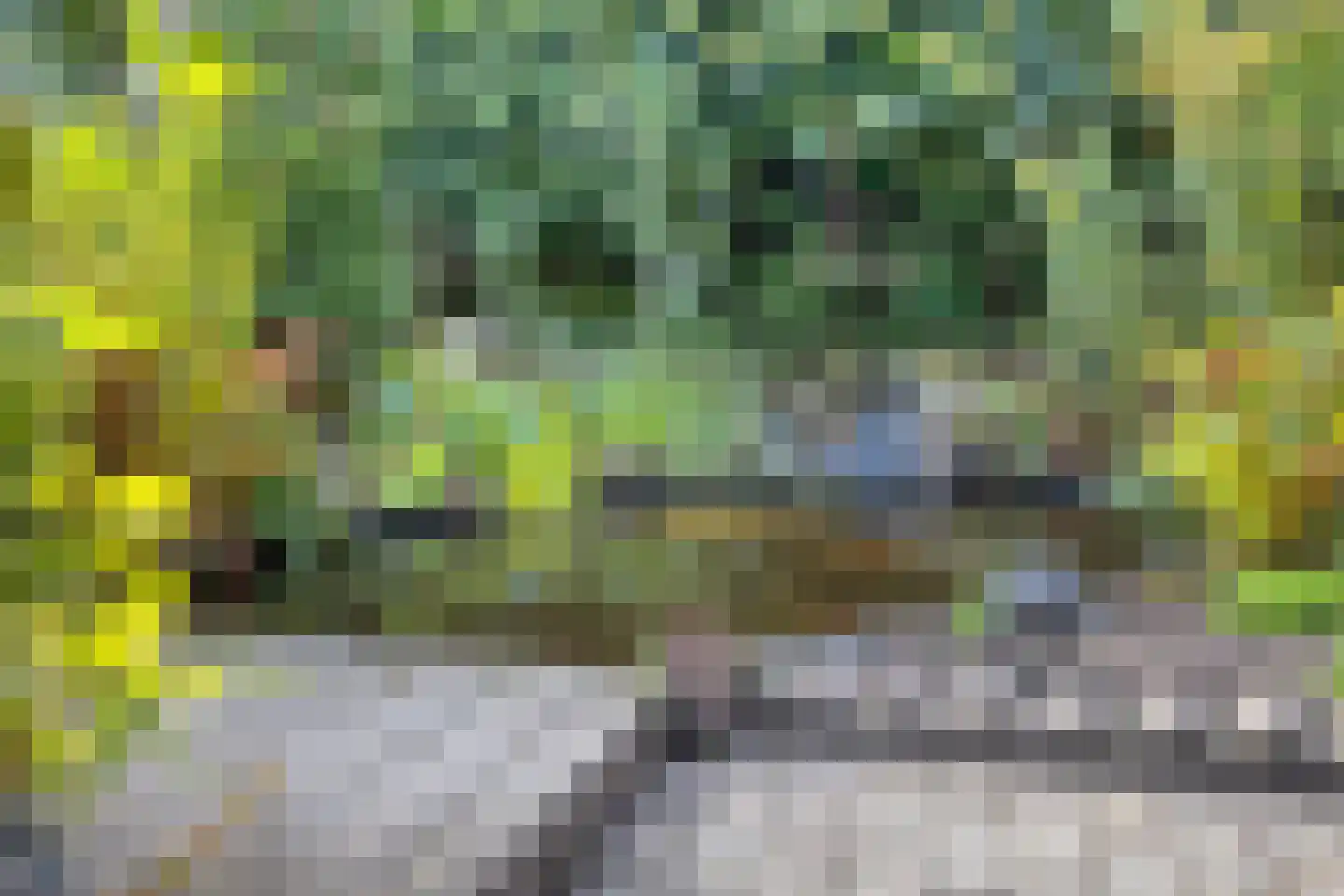 Coudorpseweg 12 Driewegen thumbnail 33
