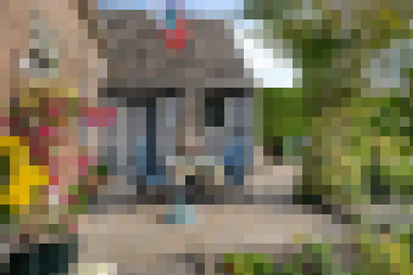 Coudorpseweg 12 Driewegen thumbnail 34