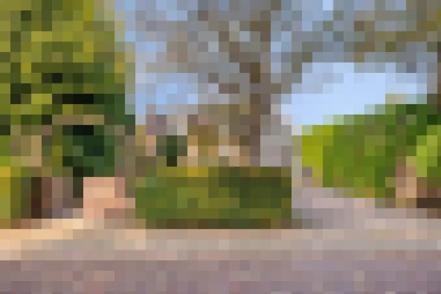 Coudorpseweg 12 Driewegen thumbnail 35