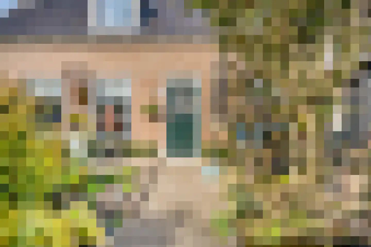 Coudorpseweg 12 Driewegen thumbnail 36