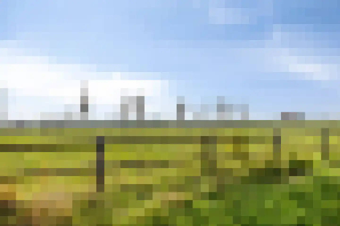 Coudorpseweg 12 Driewegen thumbnail 39