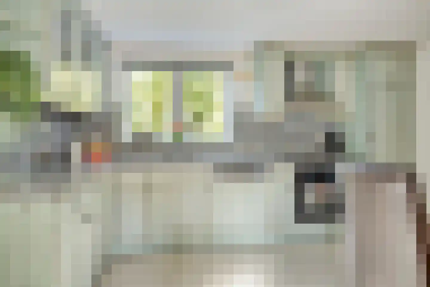 Coudorpseweg 12 Driewegen thumbnail 9